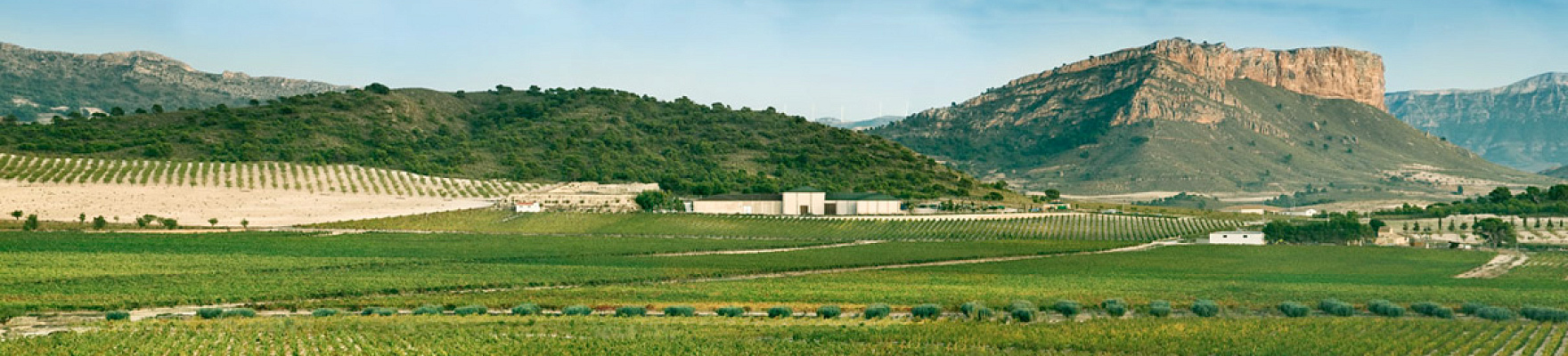 Productor: Bodegas Juan Gil