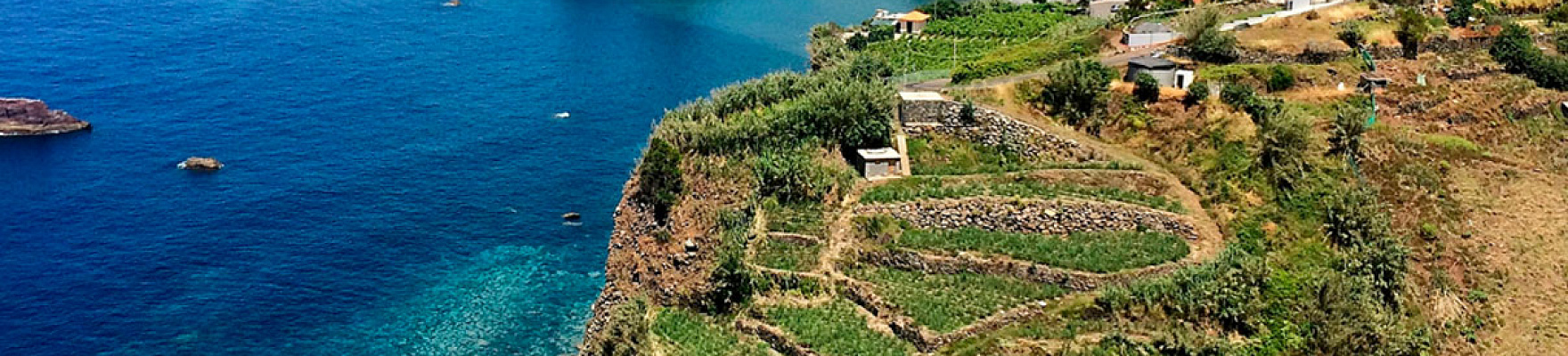 Bodega Justino's Madeira