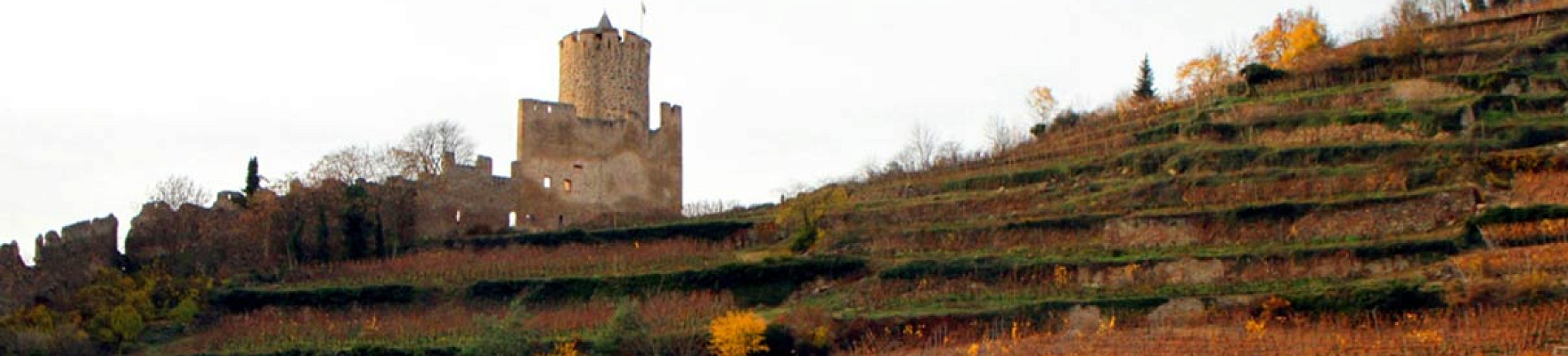 Productor: Domaine Kirrenbourg