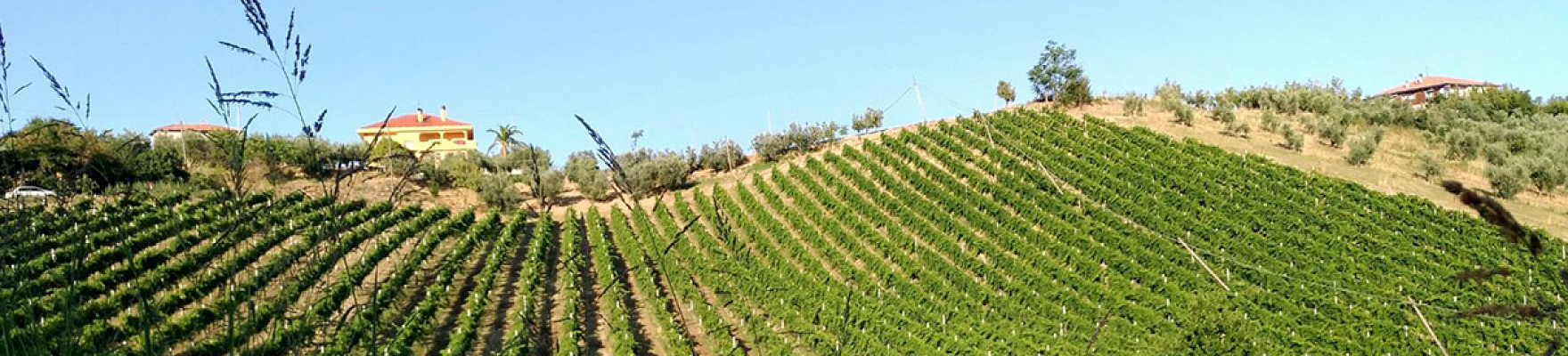 Productor: La Quercia