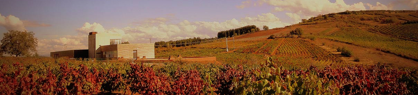 Productor: Losada Vinos de Finca