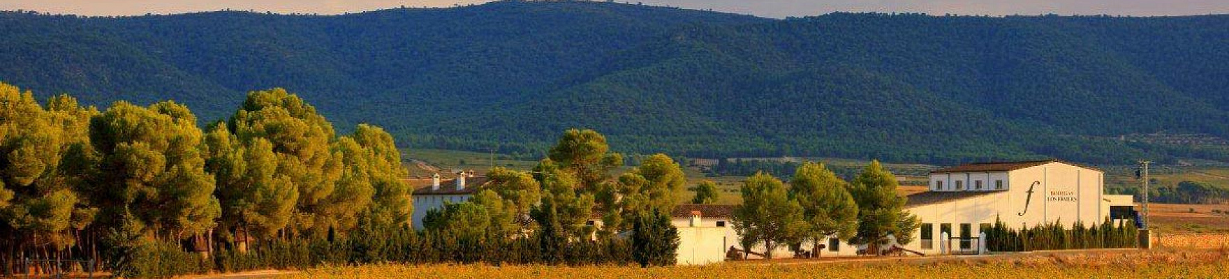 Productor: Casa Los Frailes