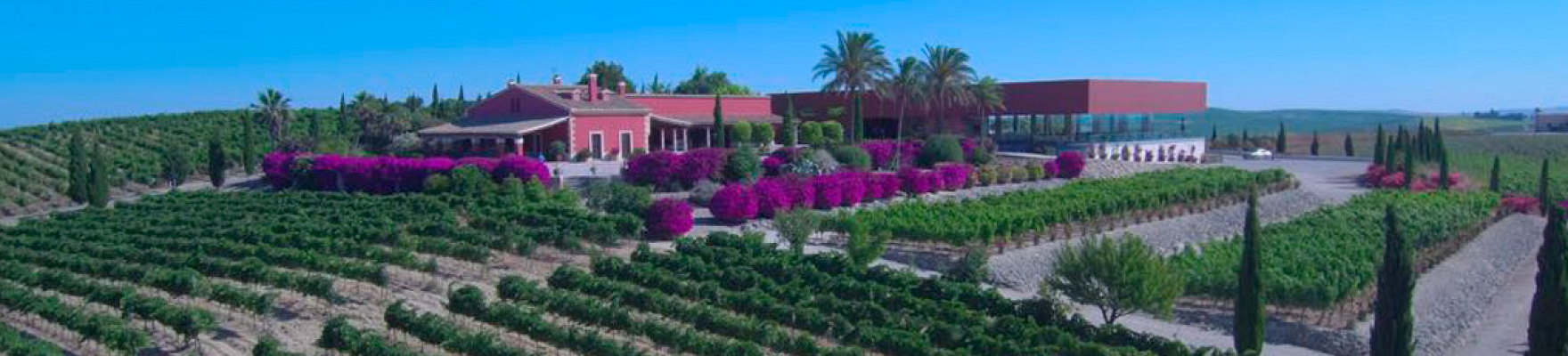 Bodegas Luis Pérez