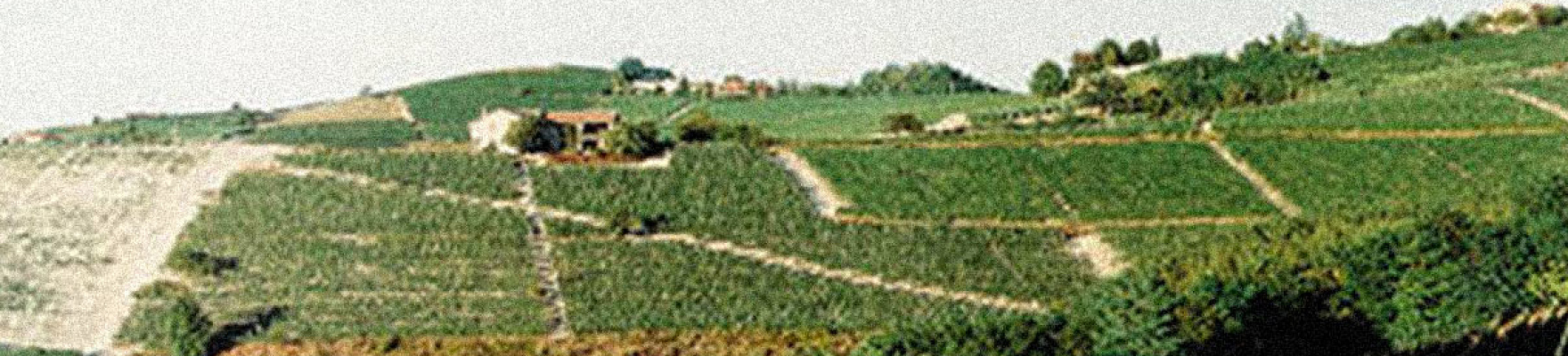 Productor: Giuseppe Mascarello