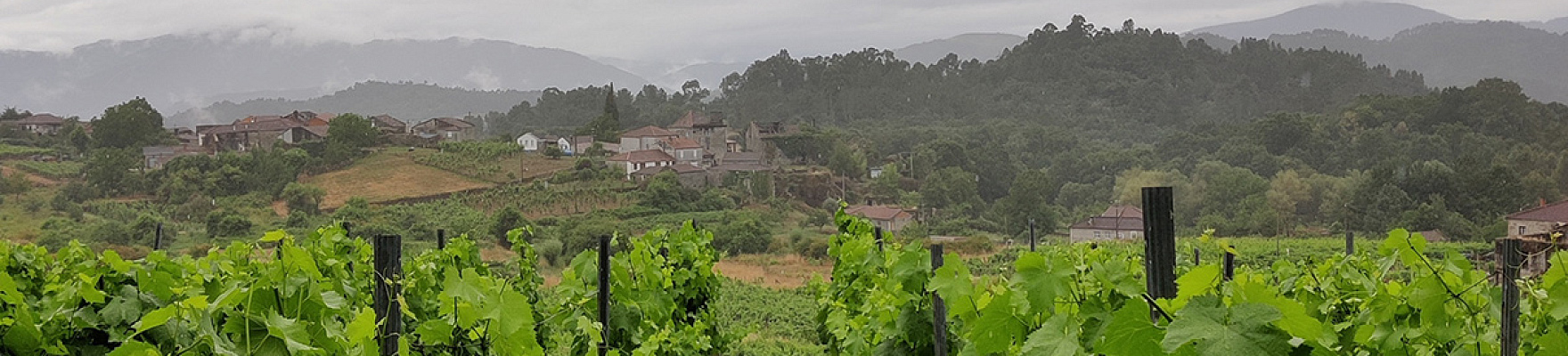 Productor: Mixtura Wines