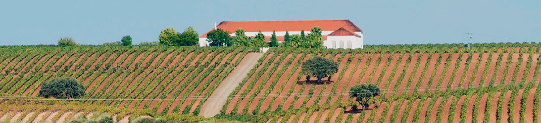 Productor: Palacio Quemado