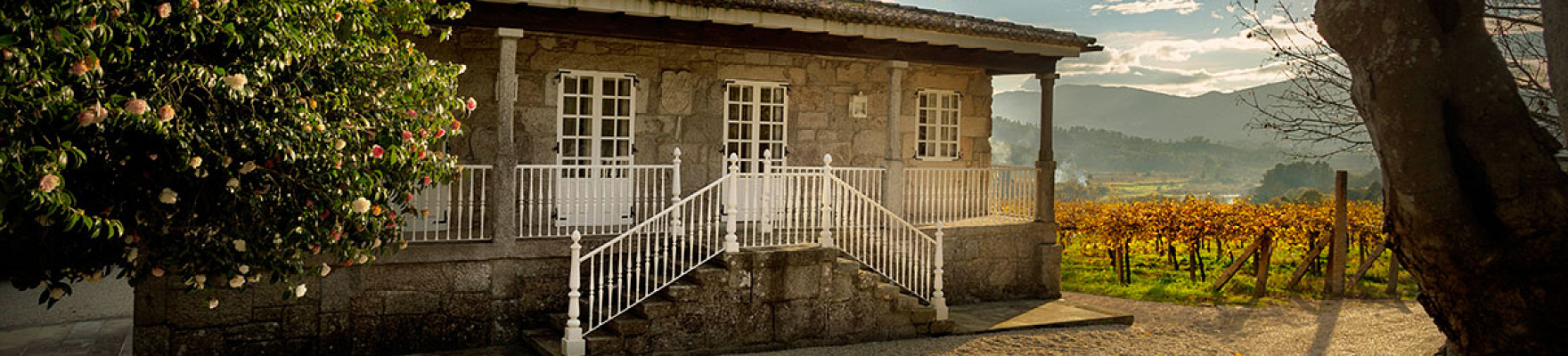 Productor: Pazo de San Mauro