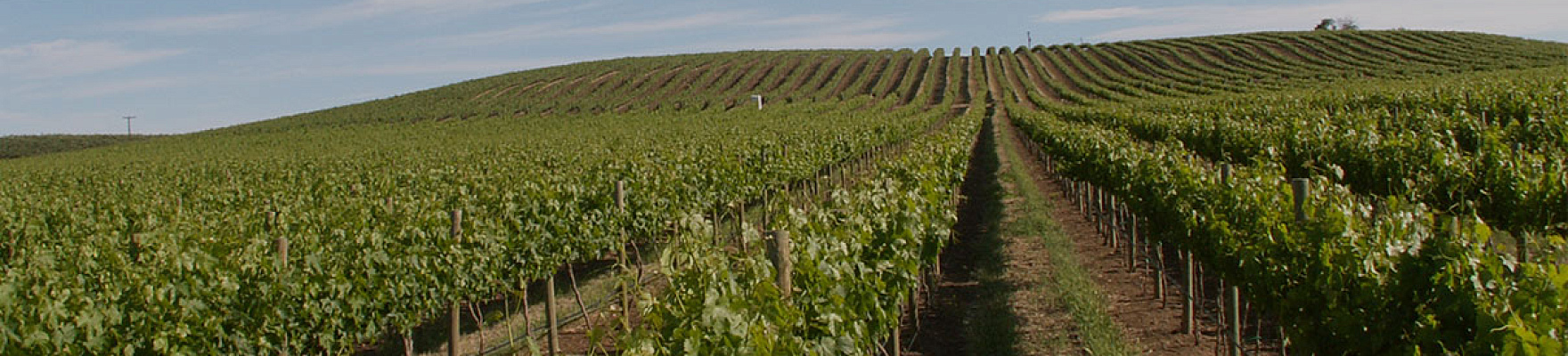 Productor: Pomum Cellars