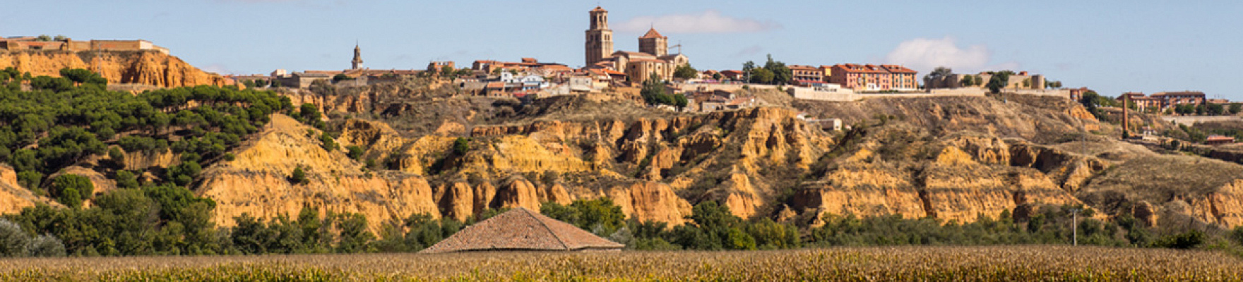 Productor: Quinta de la Quietud