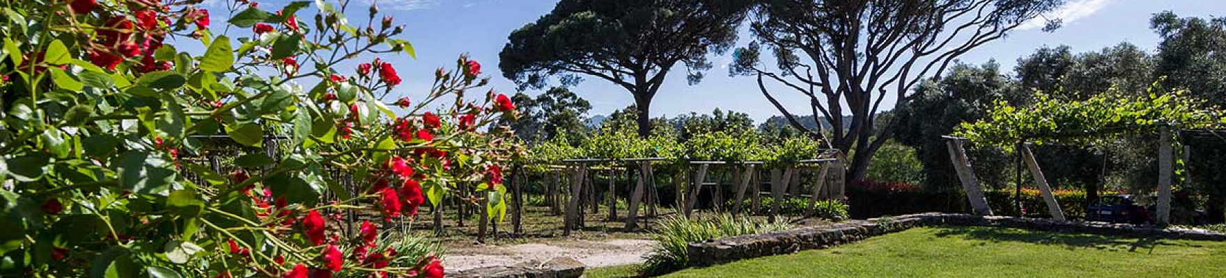 Productor: Quinta de Couselo