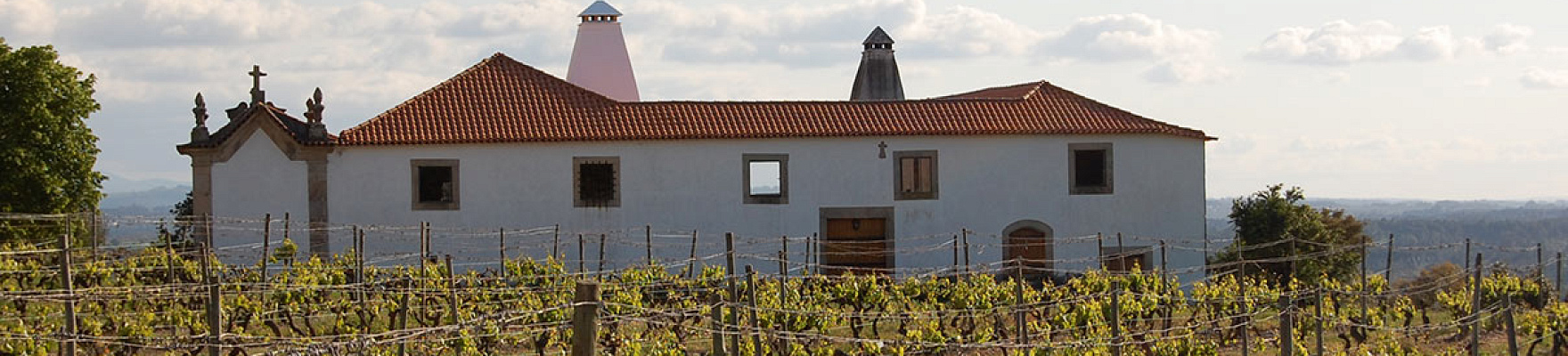 Productor: Quinta da Pellada