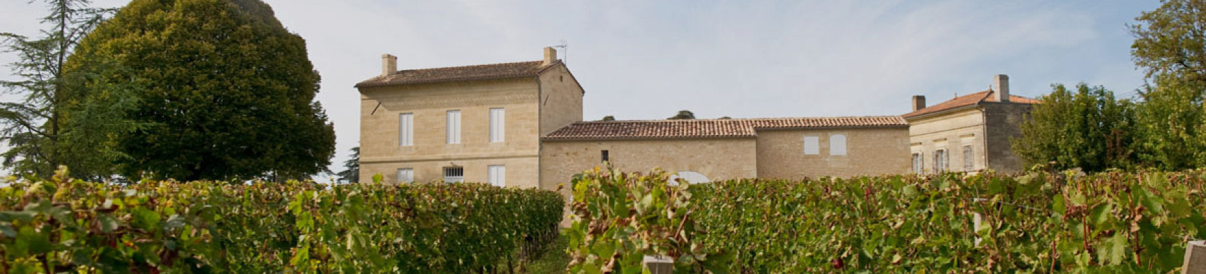 Productor: Château Rocheyron
