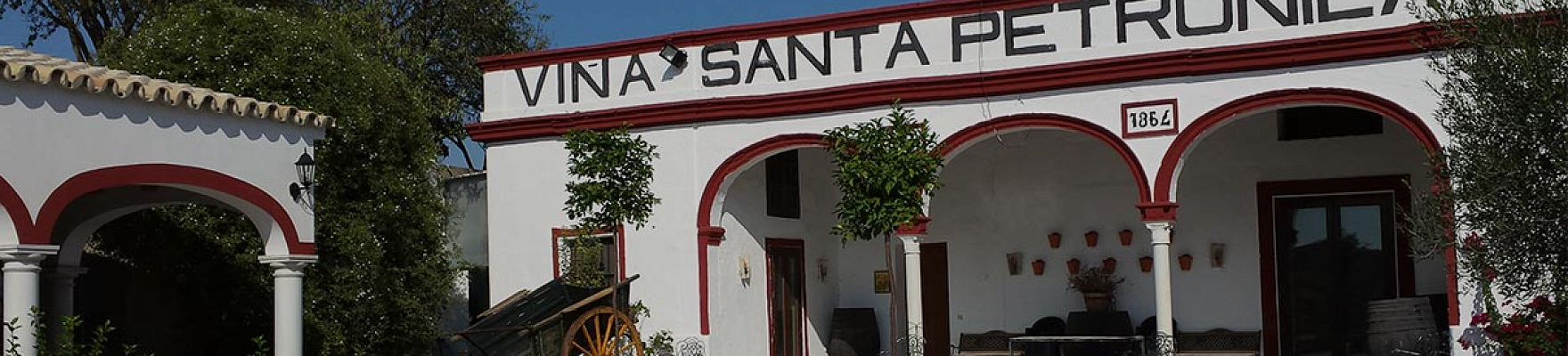 Productor: Santa Petronila
