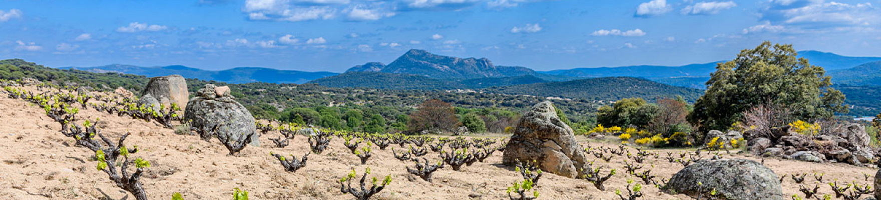 Productor: SotoManrique