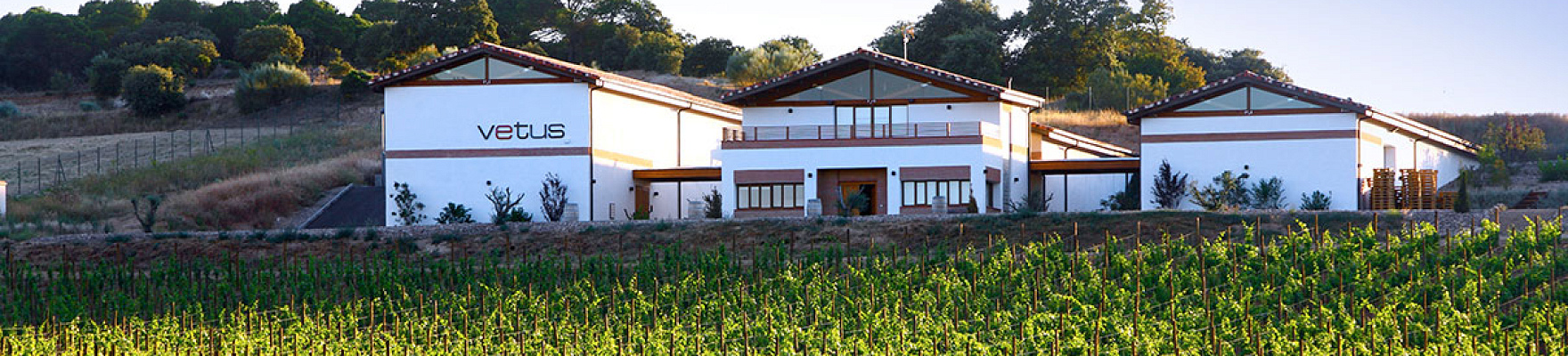 Productor: Bodegas Vetus