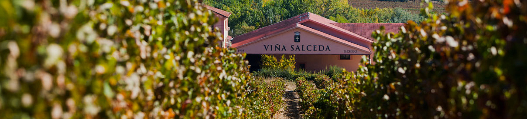 Productor: Viña Salceda