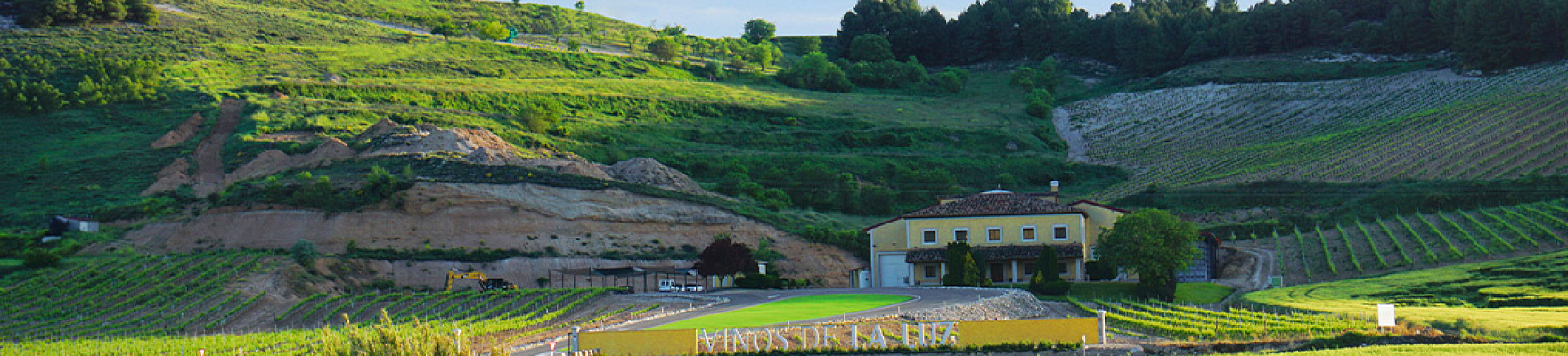 Productor: Vinos de la Luz