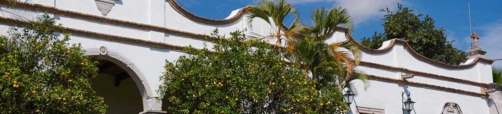 Productor: Volcán de mi Tierra