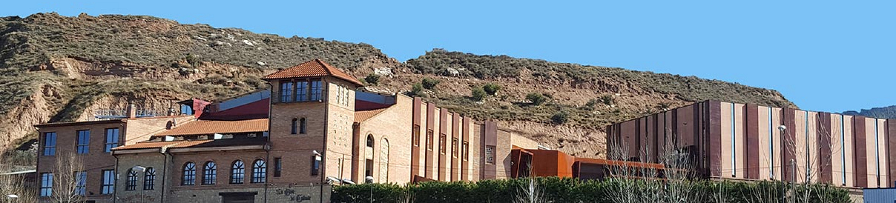 Productor: Bodegas Vinícola Real