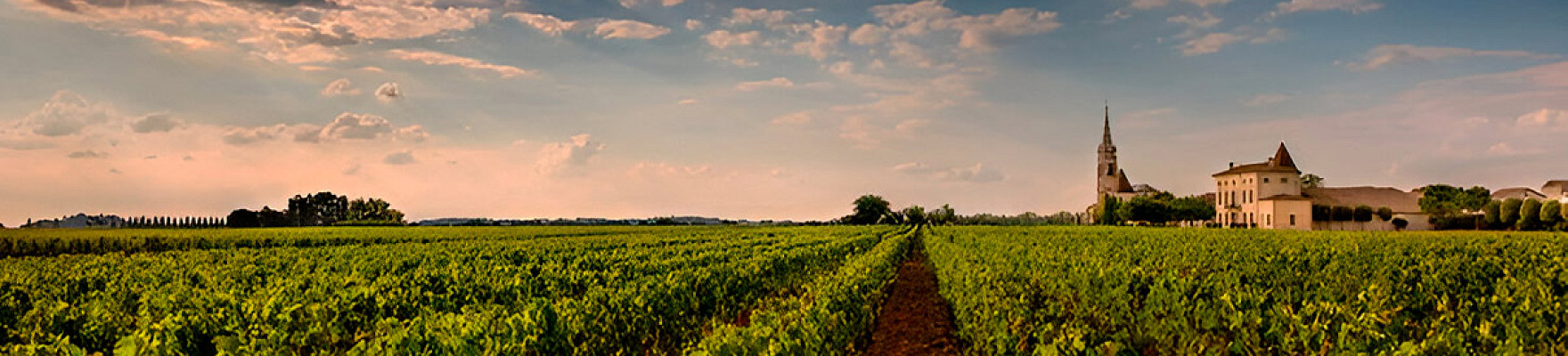 Productor: Château La Fleur-Pétrus