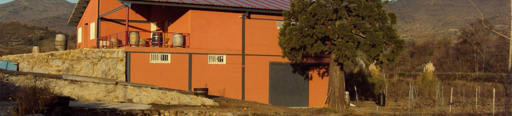 Productor: Bodega Finca Fuentegalana