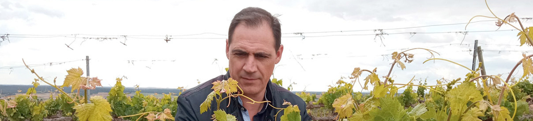 Productor: Dani Mabe Wines
