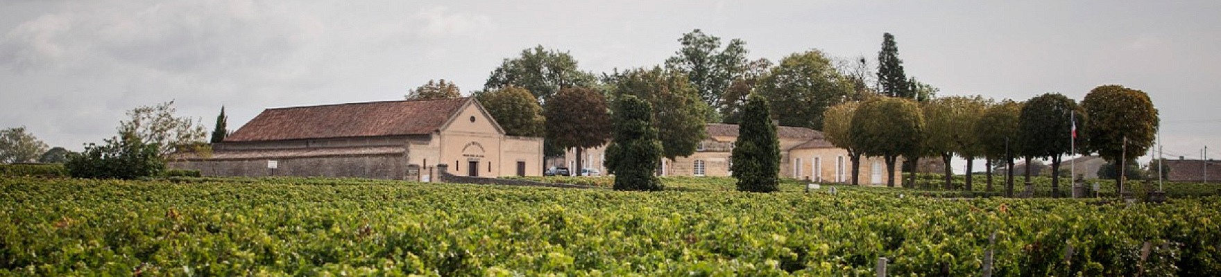 Productor: Château Trottevieille