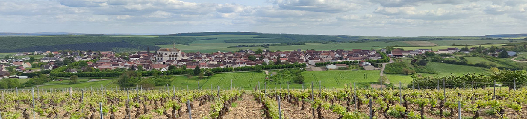 Productor: Domaine Lemoule