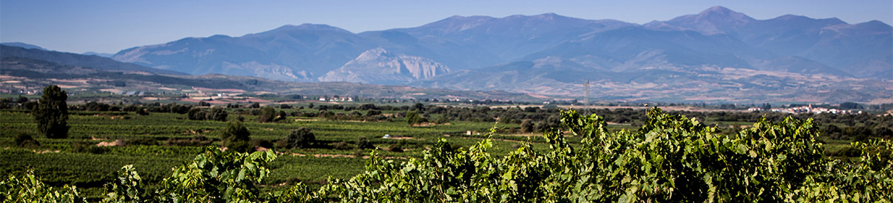 Productor: Montaña