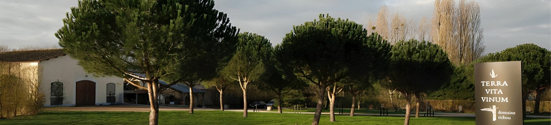Productor: Terra Vita Vinum