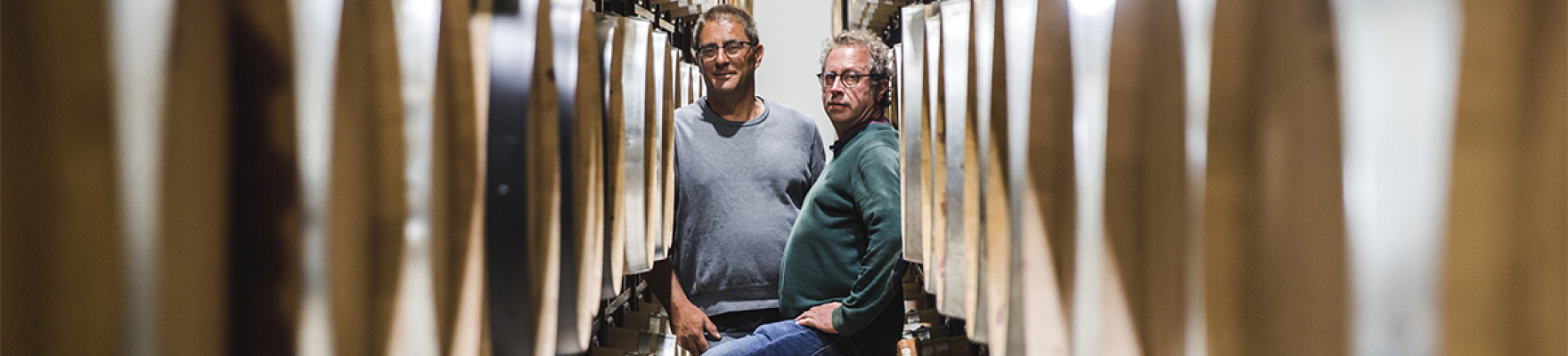 Productor: Bodegas Antídoto