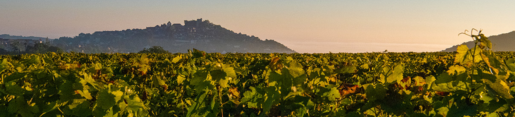 Productor: Le Piton de Sancerre