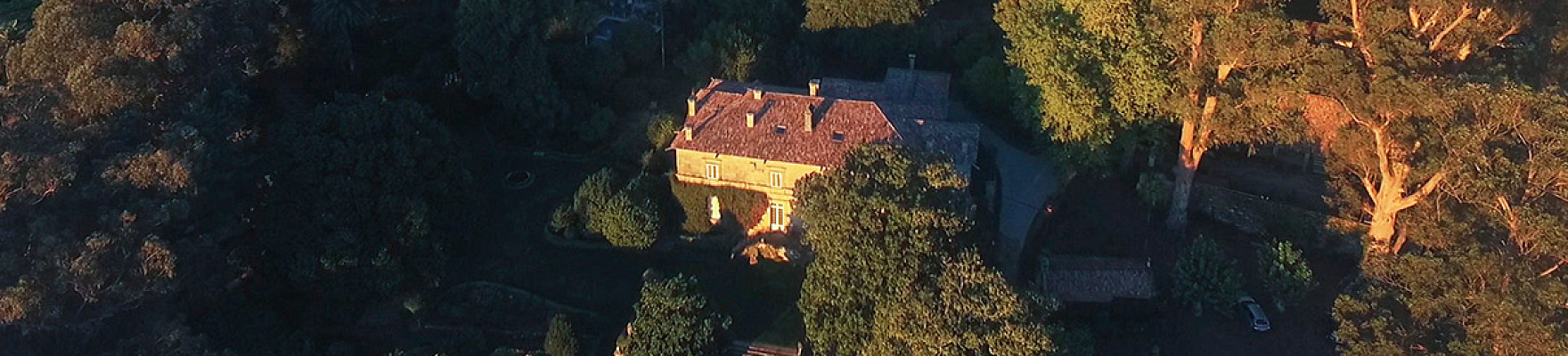 Productor: Pazo de Rubianes