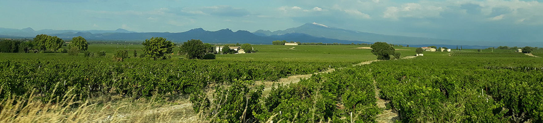 Productor: Domaine de Ferrand