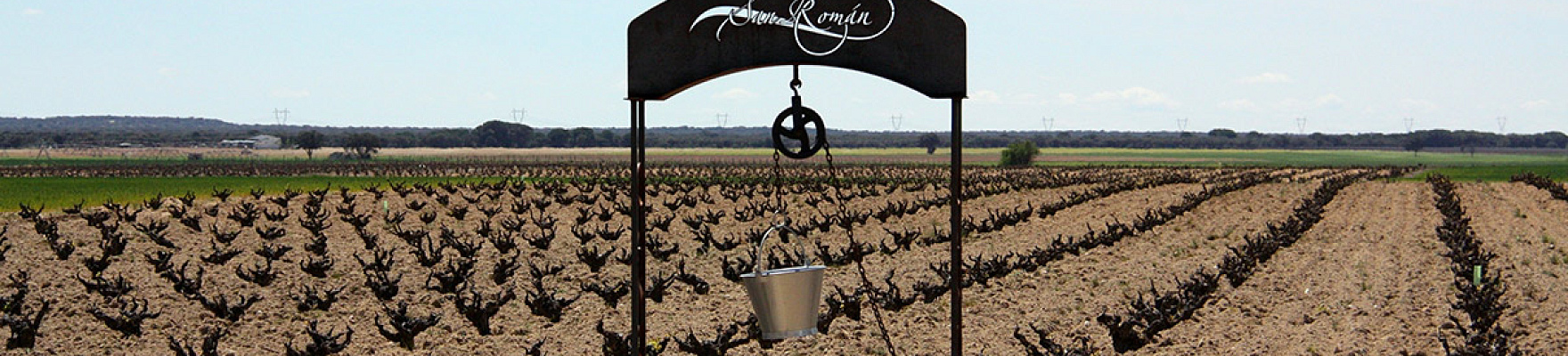 Productor: San Román Viñedos y Bodegas