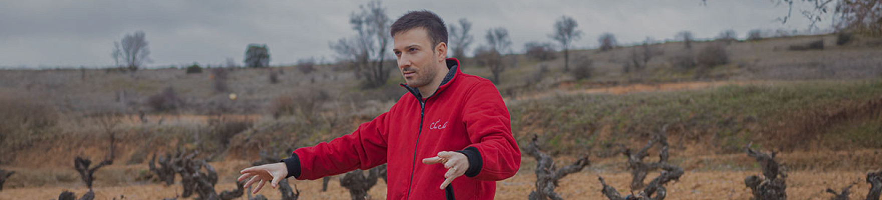 Productor: Sei Solo Bodegas y Viñedos