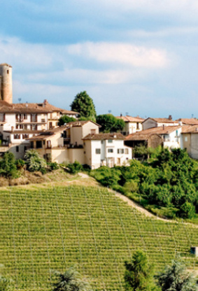 El abecé de los grandes vinos italianos