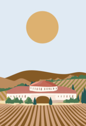 ‘Grands Crus’ de España: los santuarios de los grandes vinos