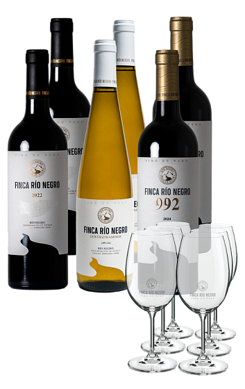 Producto: Finca Río Negro 2022 (x2), 992 2024 (x2) y Gewürztraminer 2025 (x2) con 6 copas