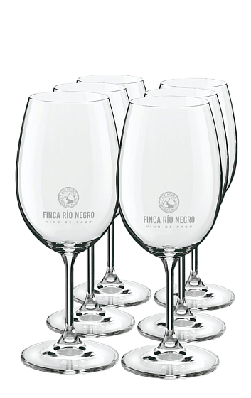 Producto: Copas Finca Río Negro (x6)