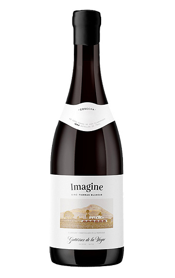Producto: Imagine 2020