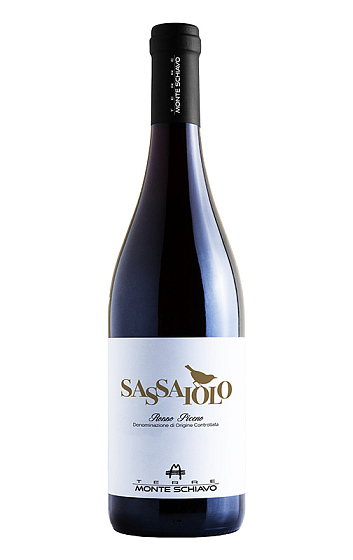 Producto: Monte Schiavo Sassaiolo Rosso Piceno DOC Bio 2020