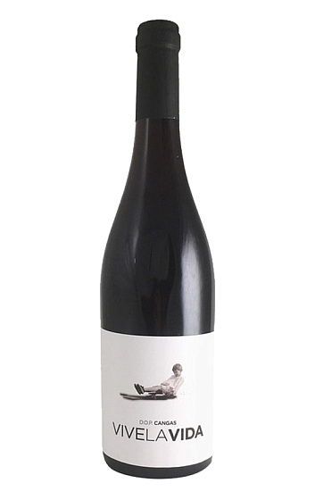 Producto: Vive la Vida 2020