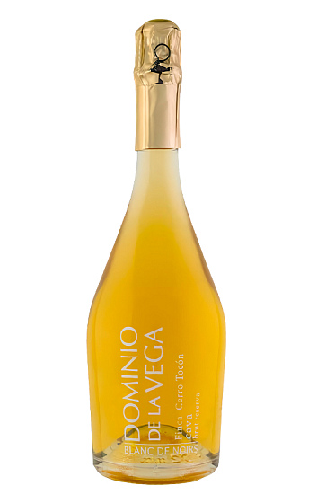 Producto: Cerro Tocón 2016