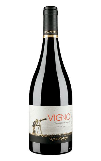 Producto: Valdivieso Éclat Vigno Vignadores de Carignan 2019