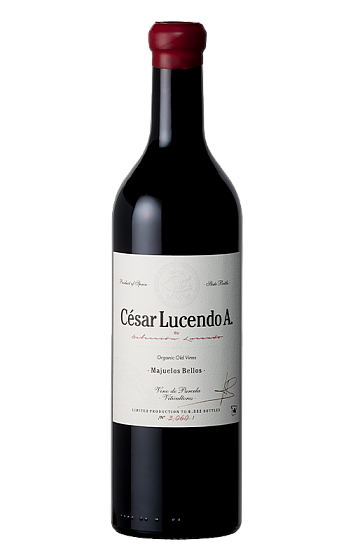 Producto: César Lucendo A 2020