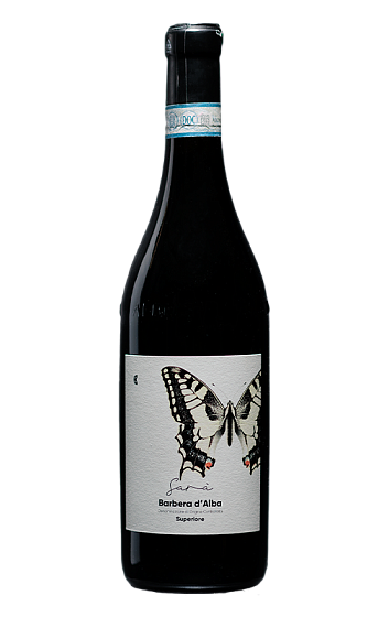 Producto: Camparo Sarà Barbera d'Alba 2020