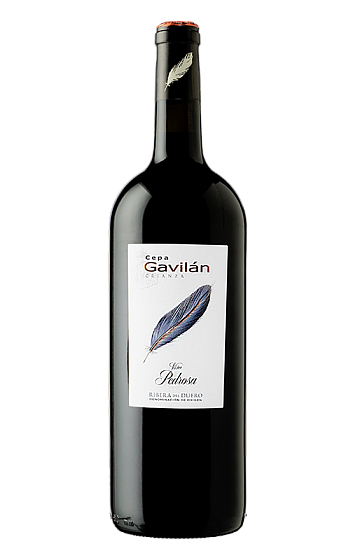 Producto: Cepa Gavilán Crianza 2020 Magnum