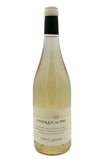 Producto: Andrea di Pec Collavini Pinot Grigio 2023