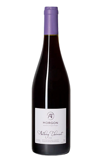 Producto: Anthony Thevenet Morgon 2022